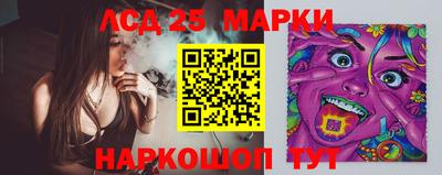 шишки Моздок